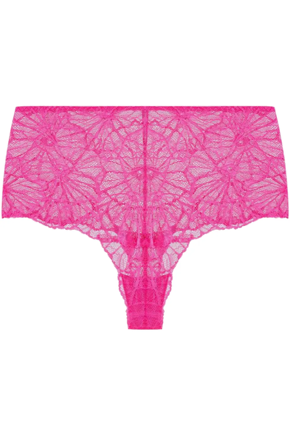 Flora Graphic Lace High Waist Panties