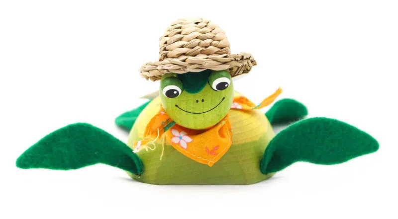 Hat Turtle Wooden Jumpie